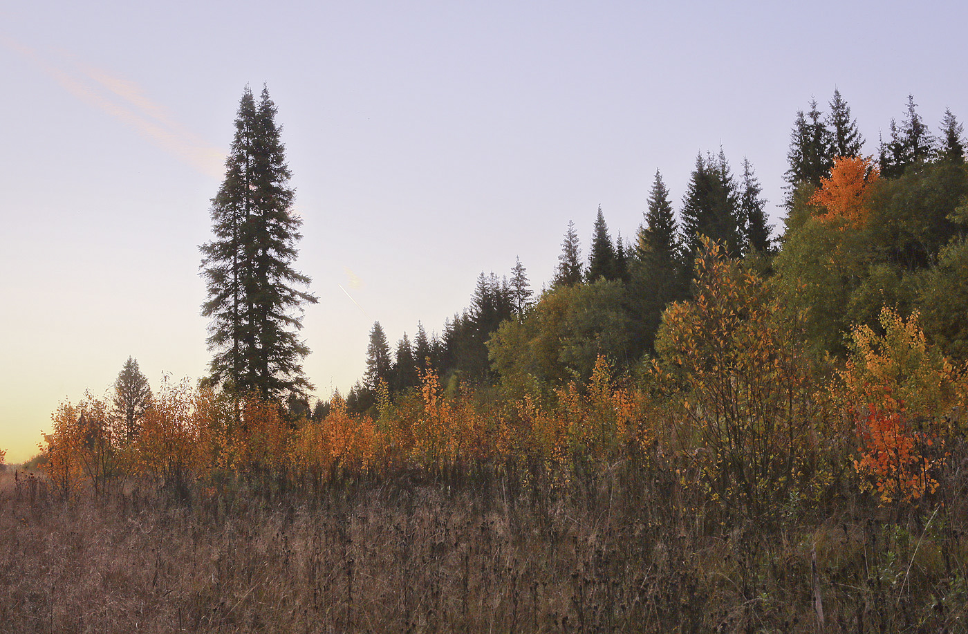 Григорьевское, image of landscape/habitat.