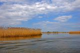 Image of landscape