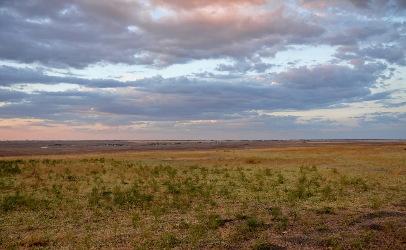 Одинокий тополь, image of landscape/habitat.