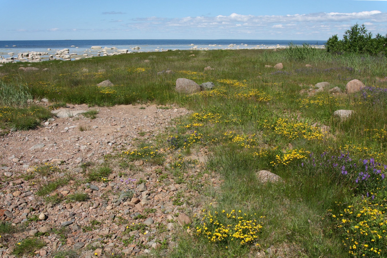 Каравалдай, image of landscape/habitat.