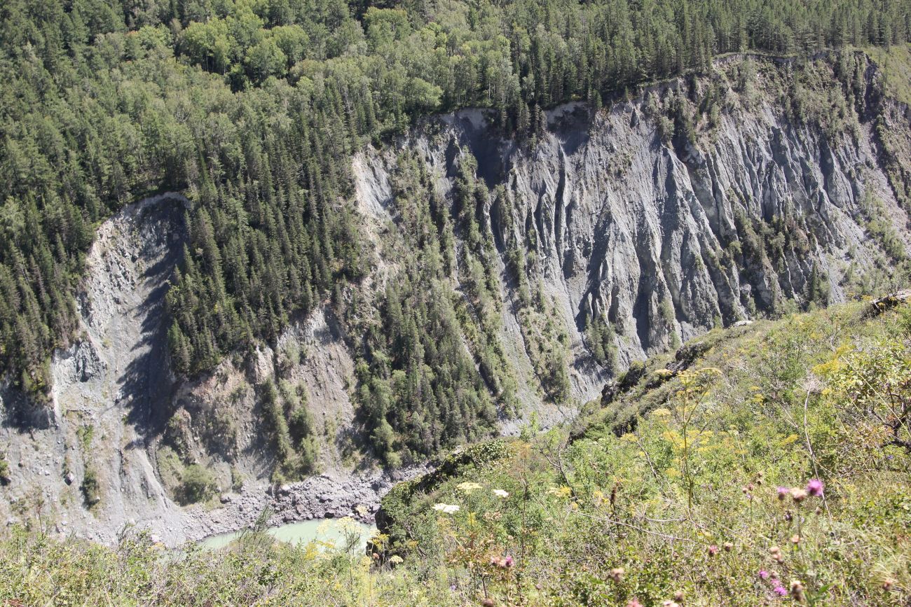 Окрестности ручья Чеба, image of landscape/habitat.