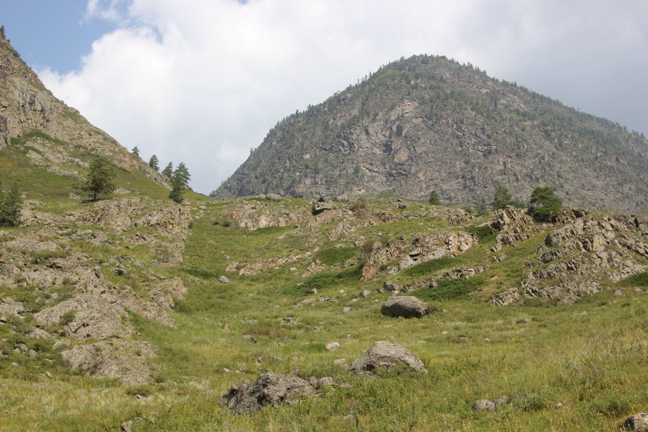 Окрестности ручья Артышту, image of landscape/habitat.