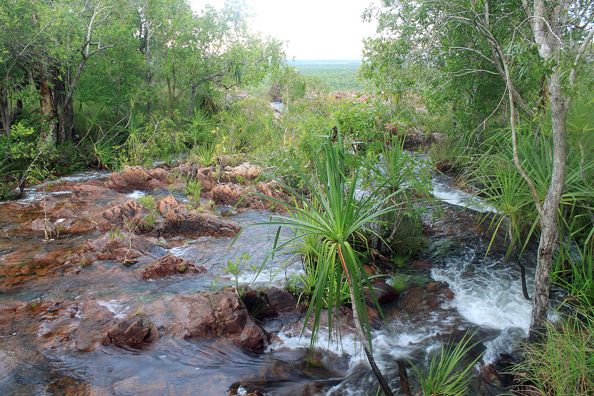 Litchfield Park, image of landscape/habitat.