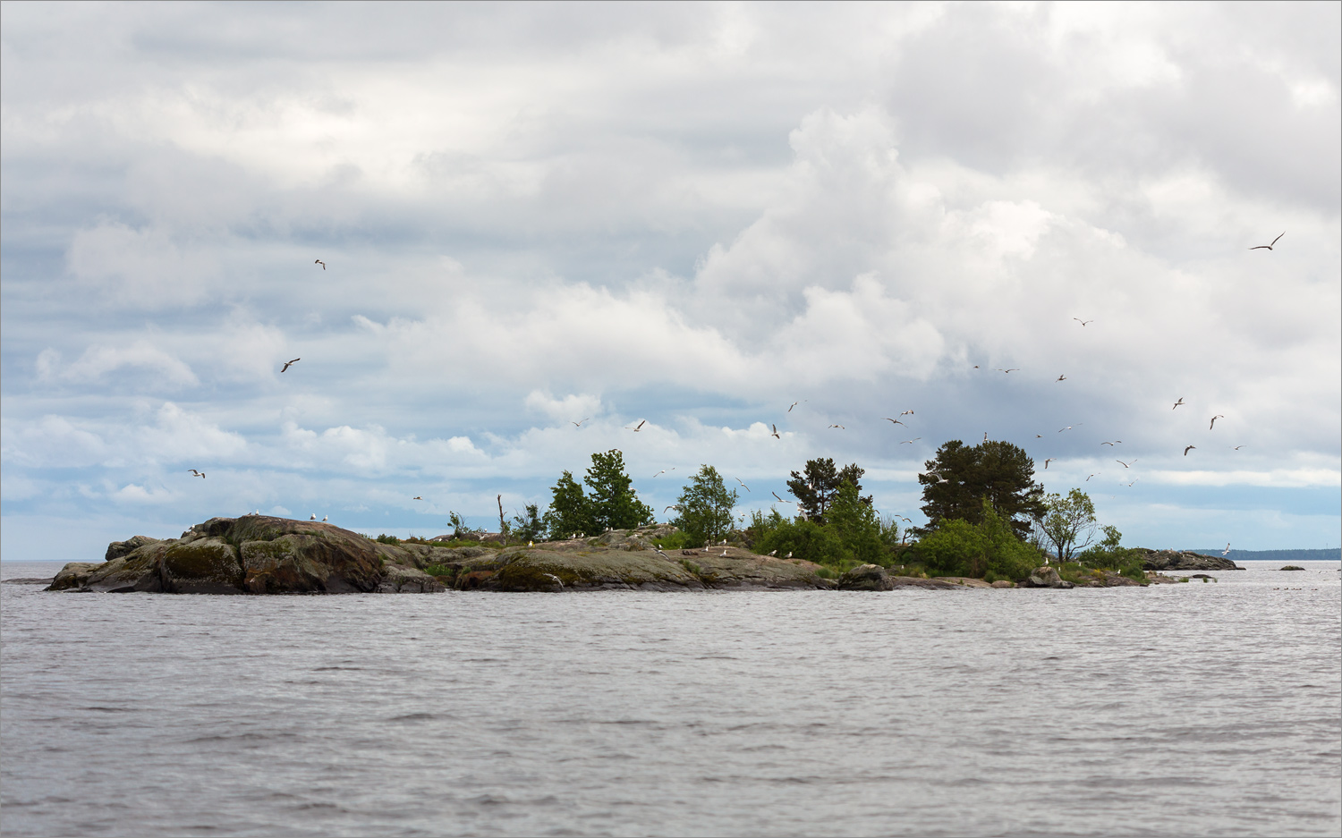 Ладожские шхеры, image of landscape/habitat.