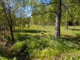 Image of landscape
