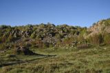 Image of landscape