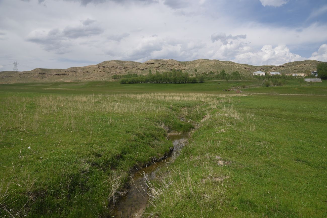 Албайрак, image of landscape/habitat.