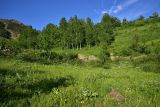Дамлаташ, image of landscape/habitat.