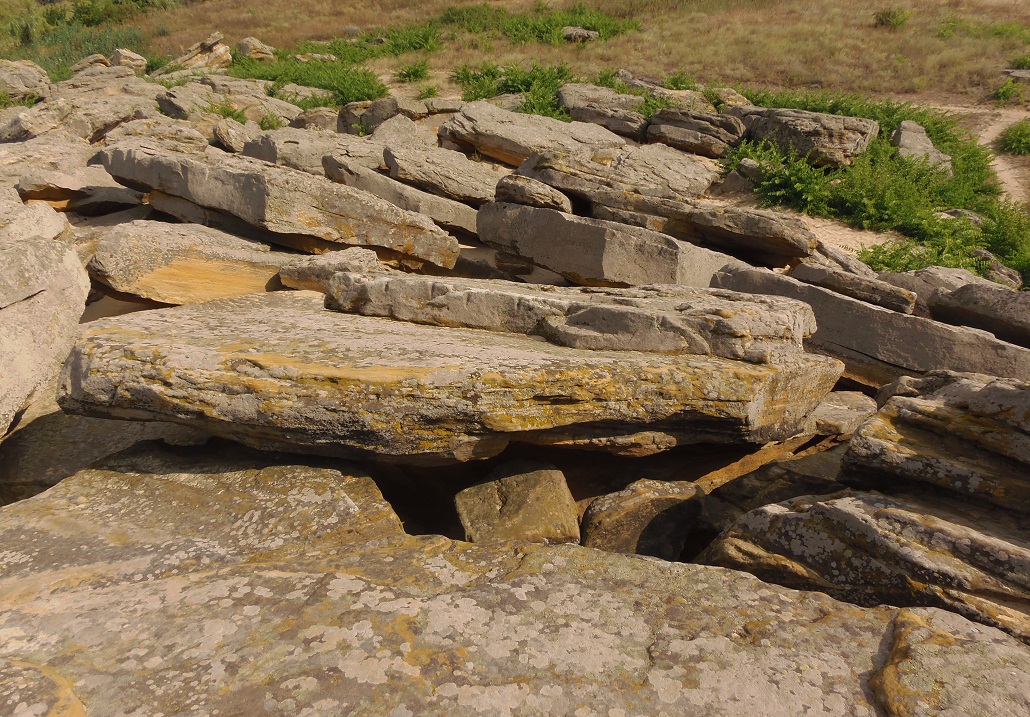 Каменная могила, image of landscape/habitat.