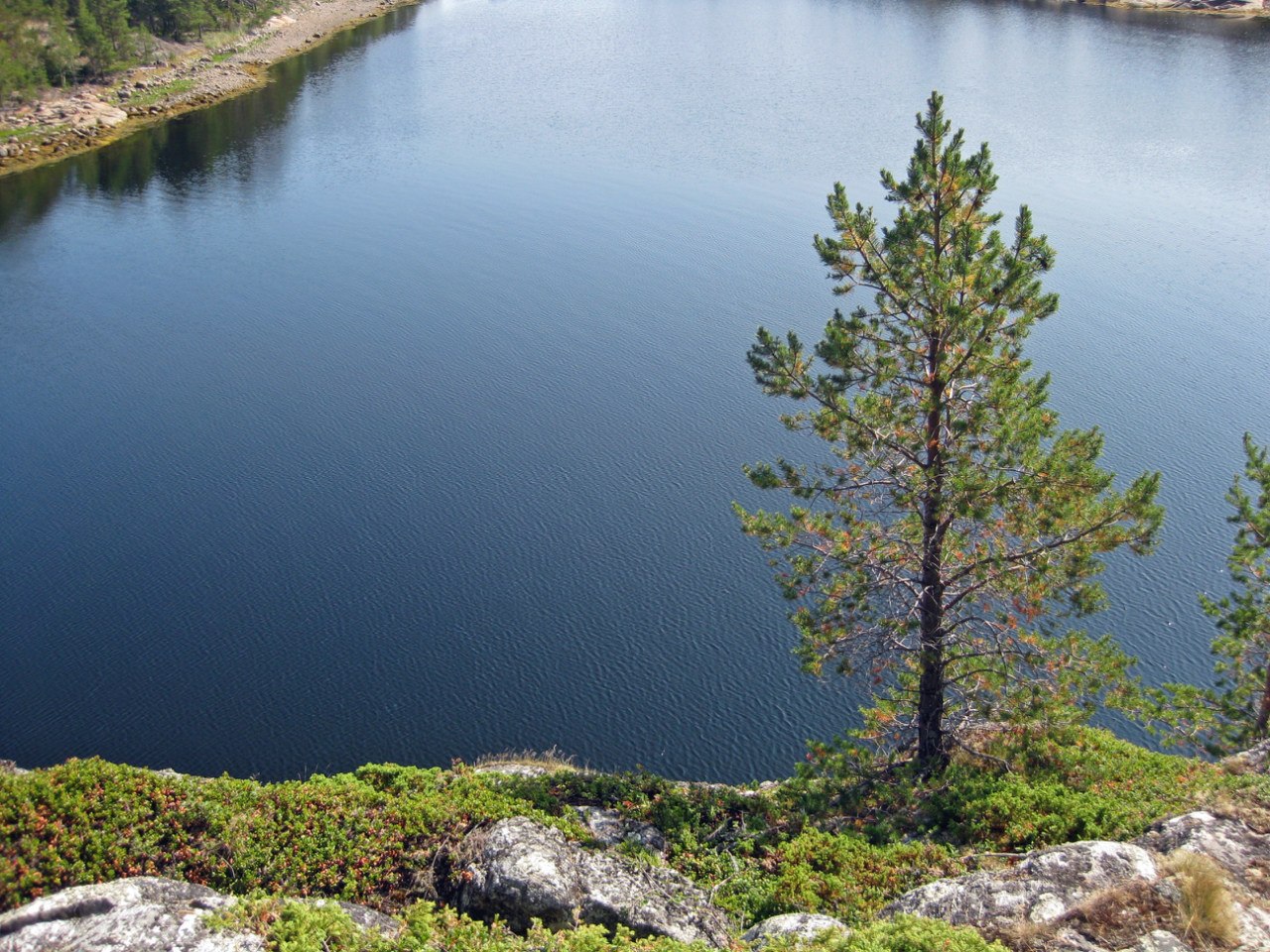 Остров Костьян, изображение ландшафта.