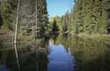 Григорьевское, image of landscape/habitat.