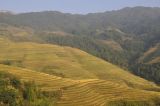 Image of landscape