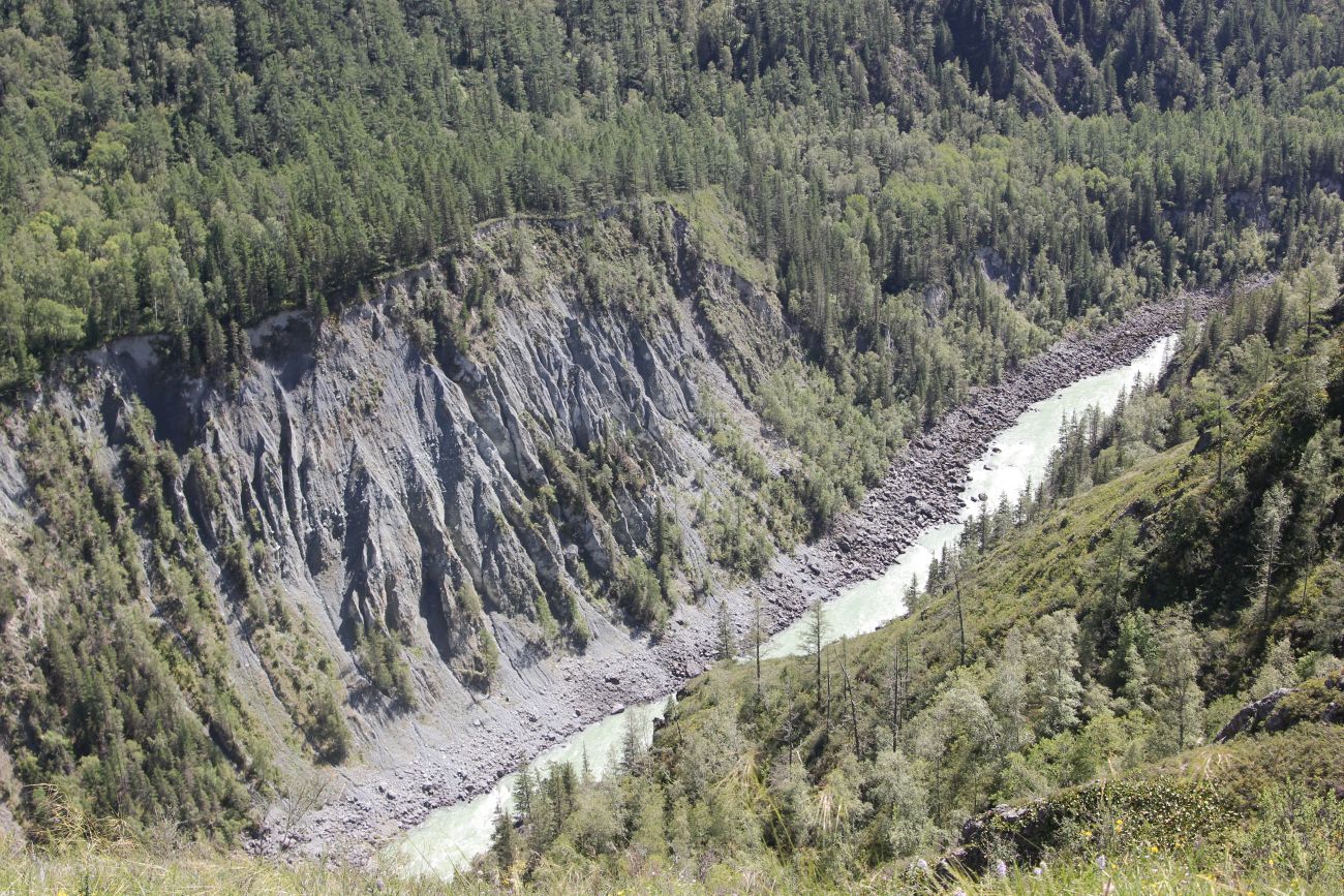 Окрестности ручья Чеба, image of landscape/habitat.