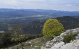 Сьерра-дель-Мон, image of landscape/habitat.