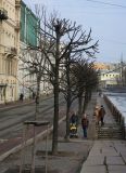 Центральный р-н Санкт-Петербурга, image of landscape/habitat.