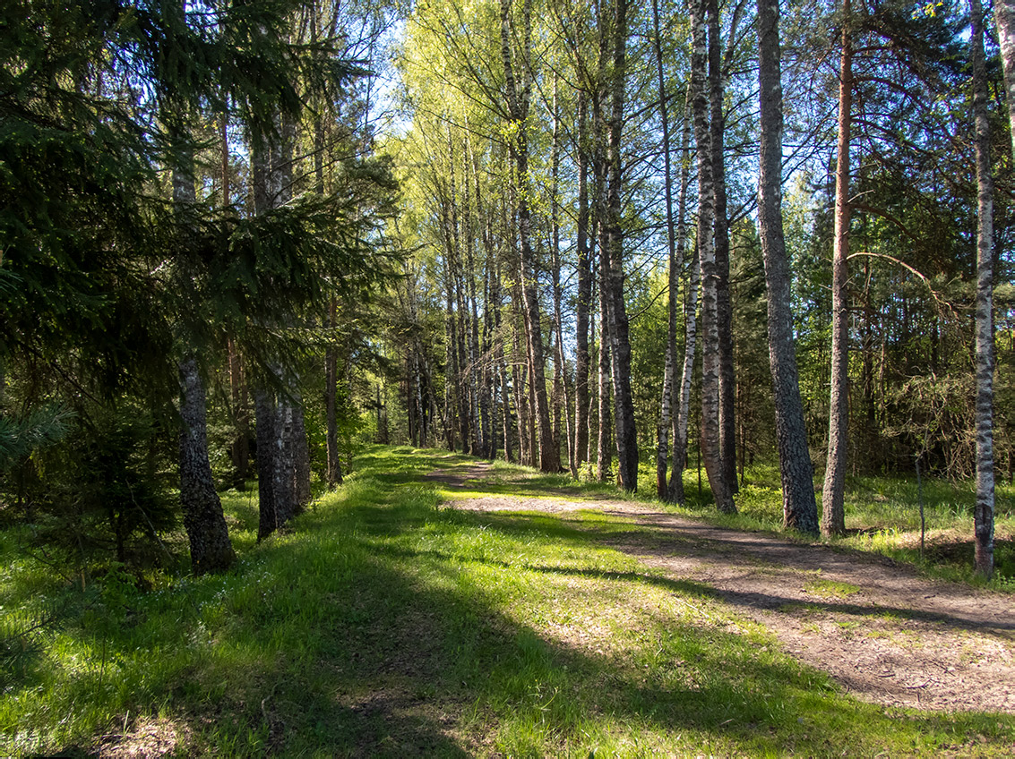 Запрудня, image of landscape/habitat.
