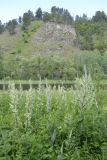Image of landscape
