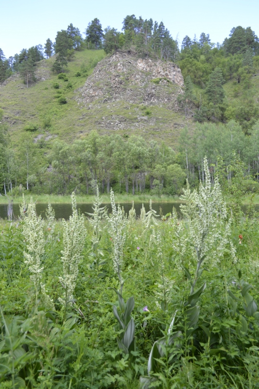 Усть-Стрелка и село Покровка, изображение ландшафта.