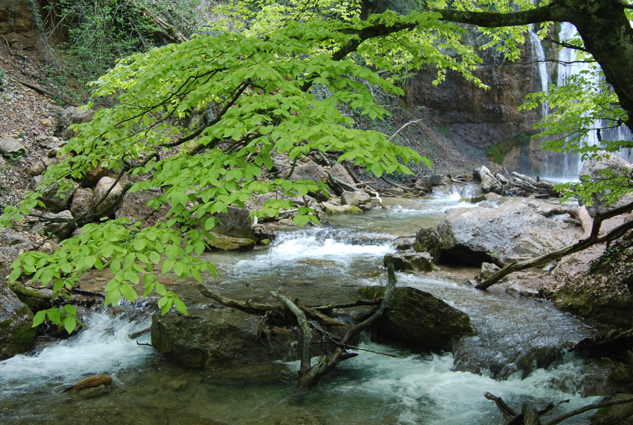 Водопад Джур-Джур, image of landscape/habitat.