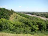 Берег Кубани в Усть-Лабинске, image of landscape/habitat.