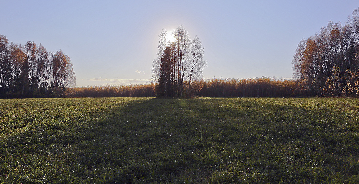 Григорьевское, image of landscape/habitat.