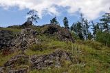 Image of landscape