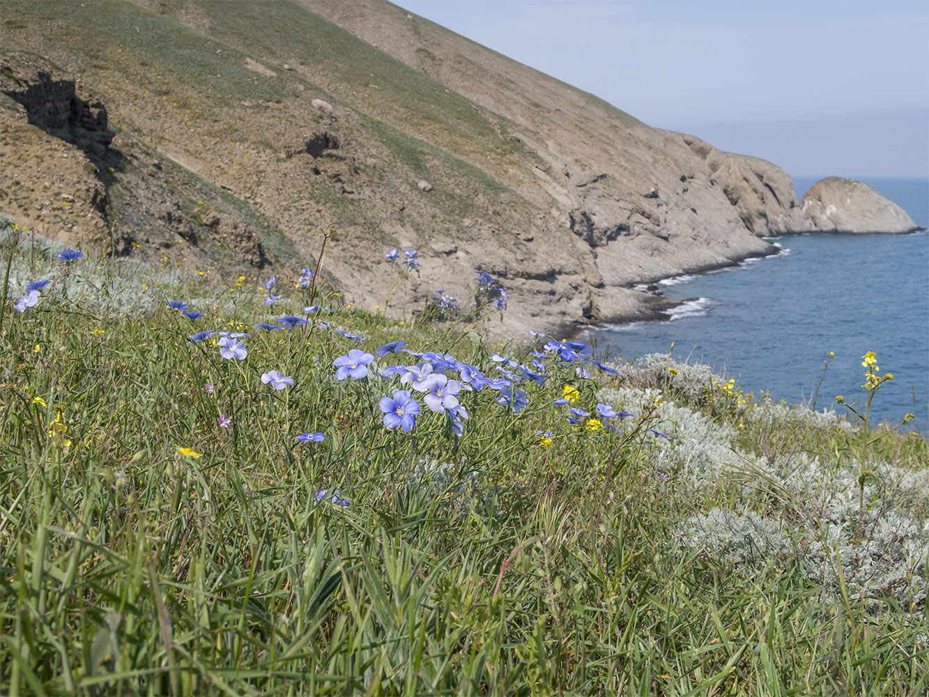 Киик-Атлама, image of landscape/habitat.