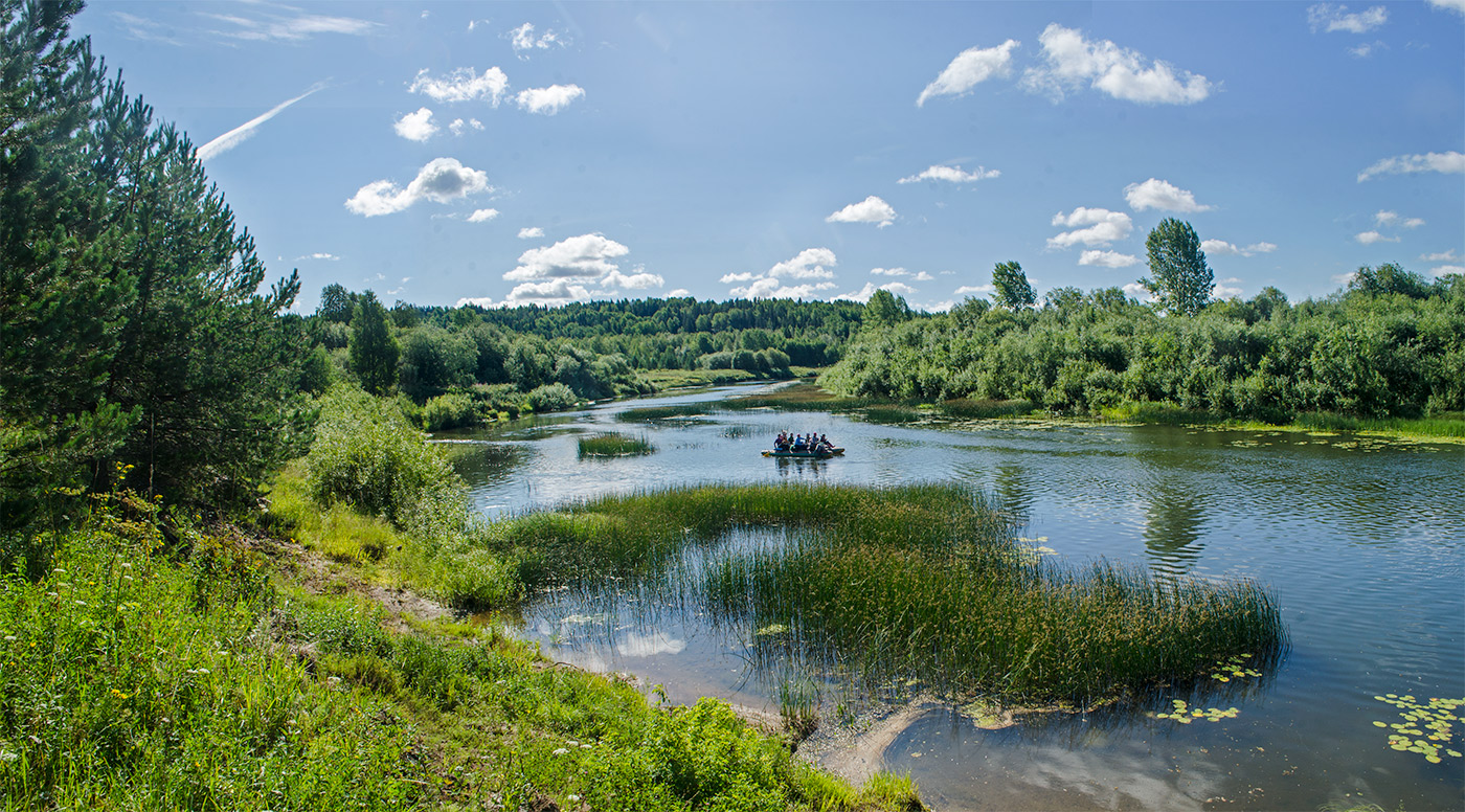 Окрестности Порубово, image of landscape/habitat.