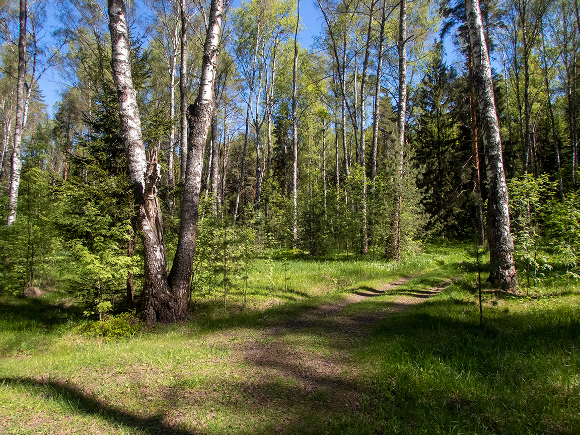 Запрудня, image of landscape/habitat.