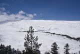 Image of landscape
