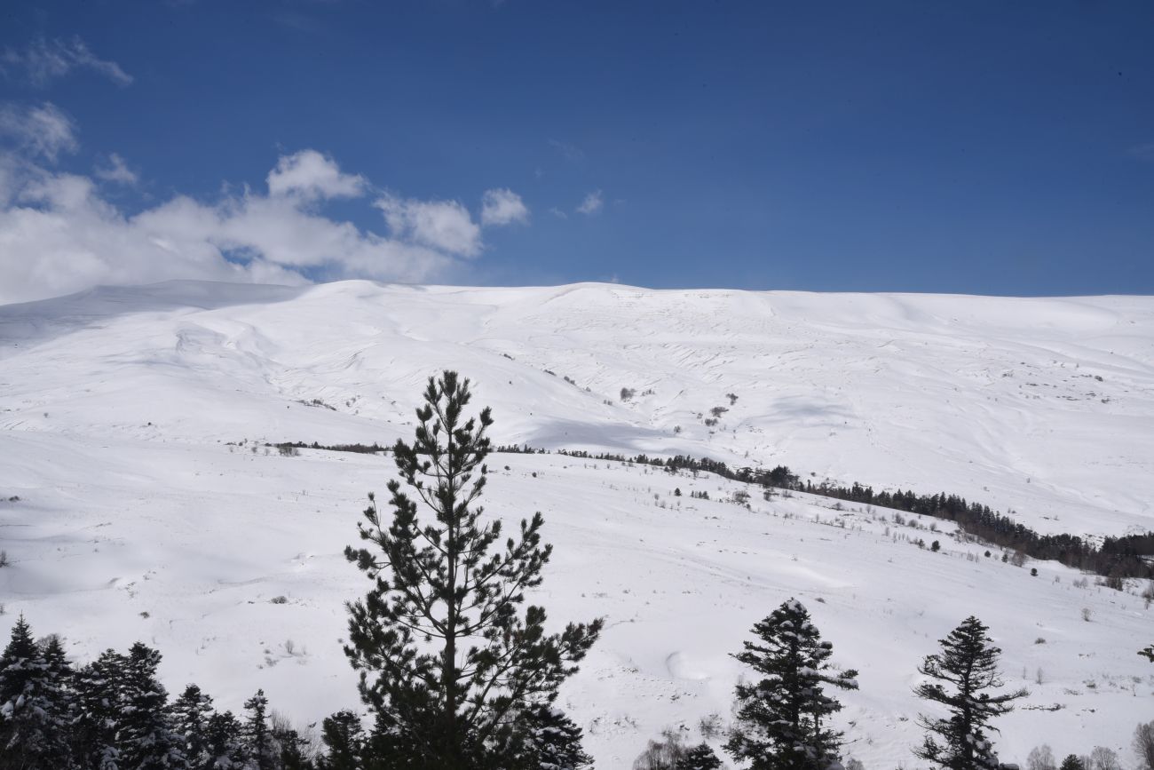 Окрестности ручья Молочка, image of landscape/habitat.