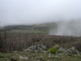 Image of landscape