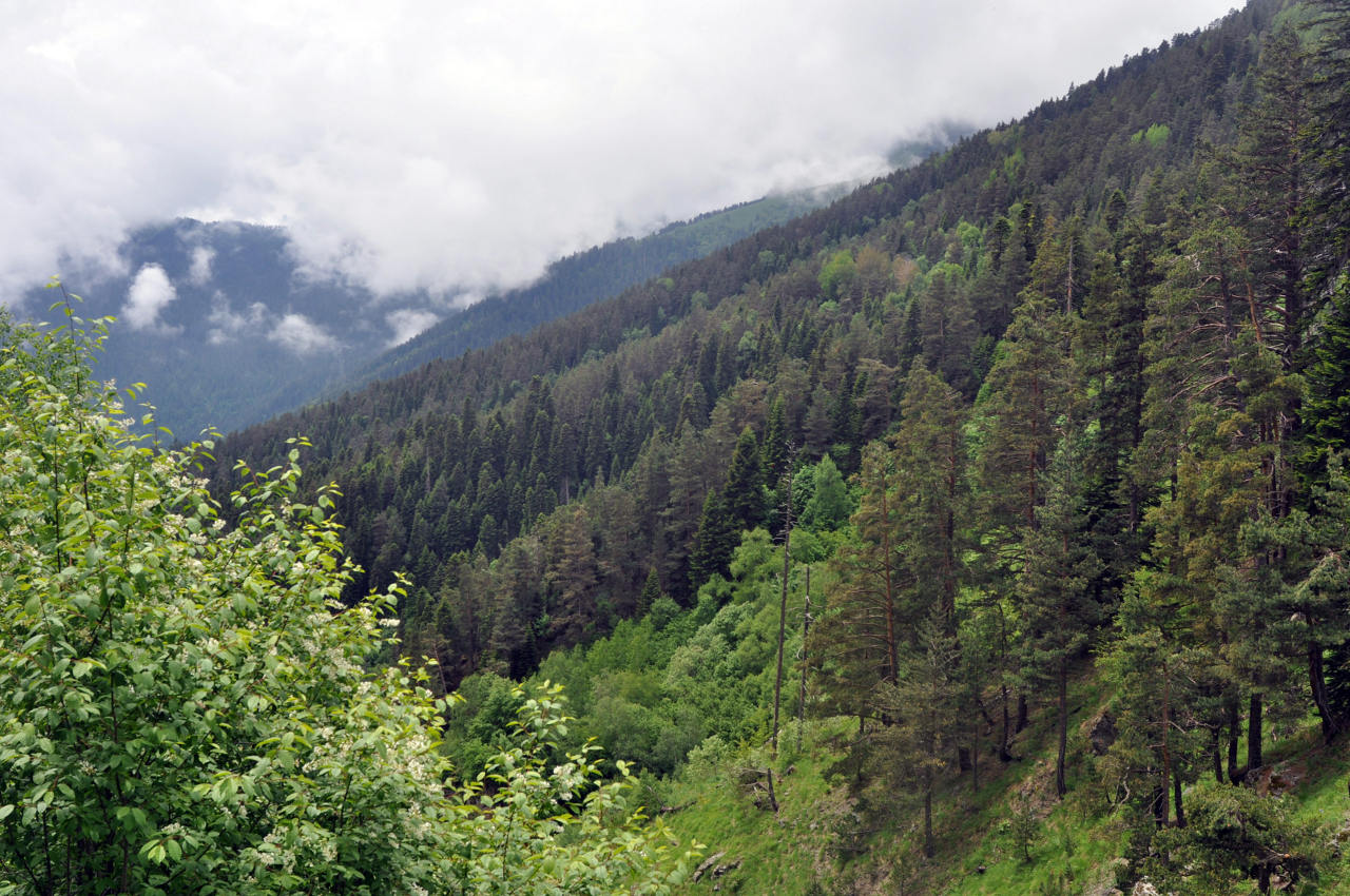 Хребет Абишира-Ахуба, image of landscape/habitat.