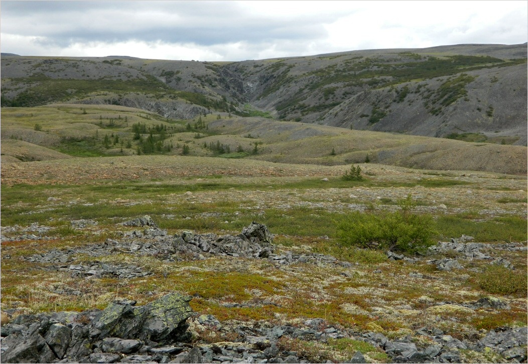 Кершор, image of landscape/habitat.