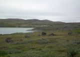 Дальние Зеленцы, image of landscape/habitat.