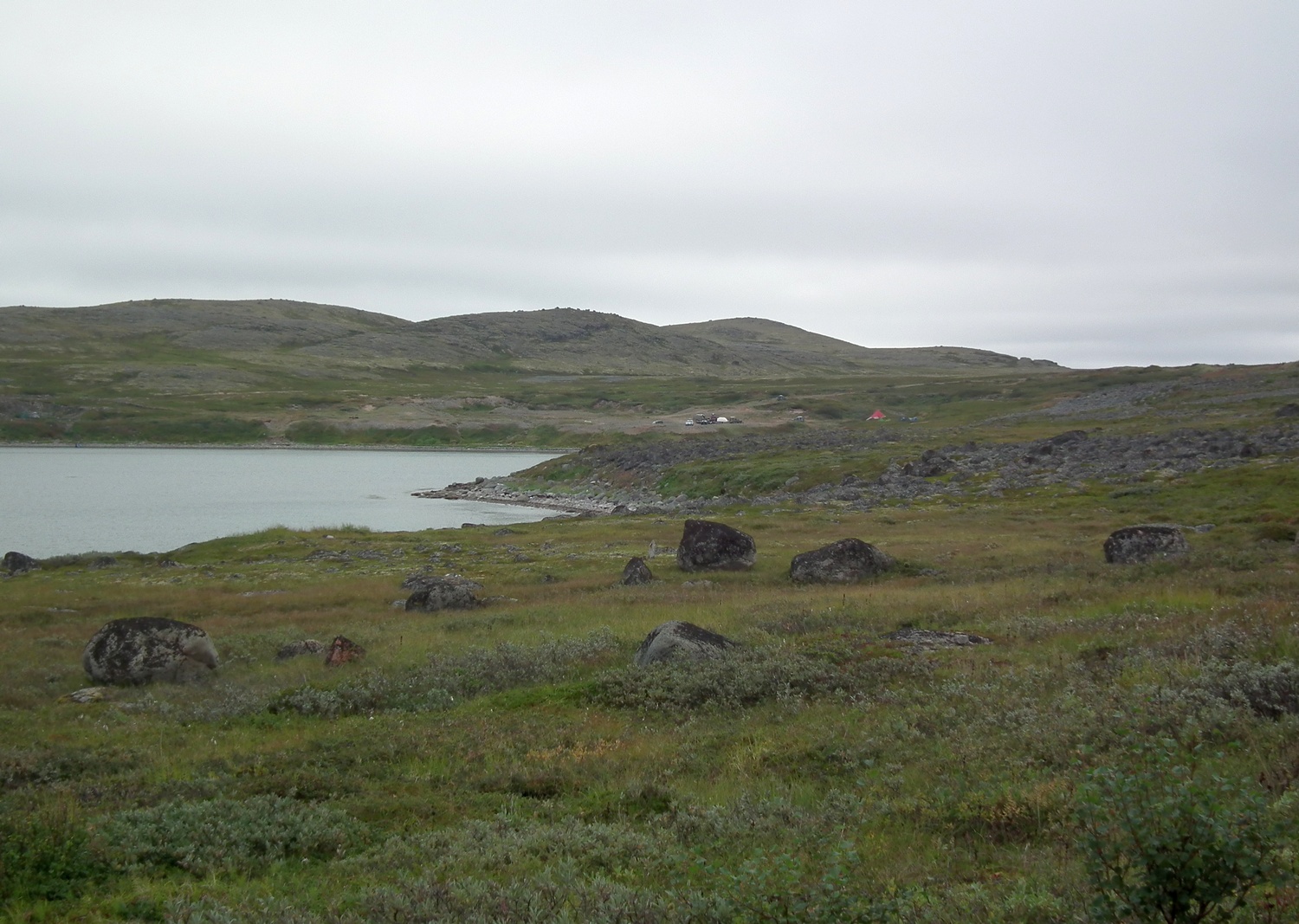 Дальние Зеленцы, image of landscape/habitat.