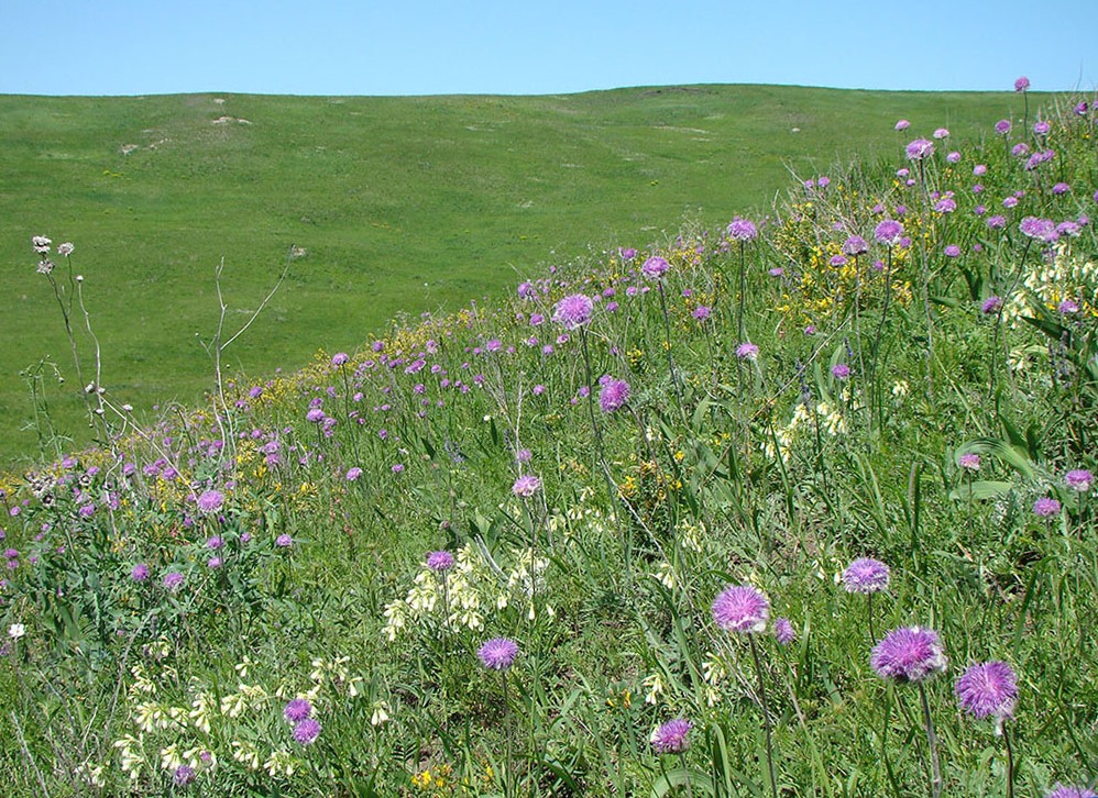 Ендовищи, image of landscape/habitat.