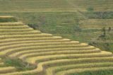 Image of landscape