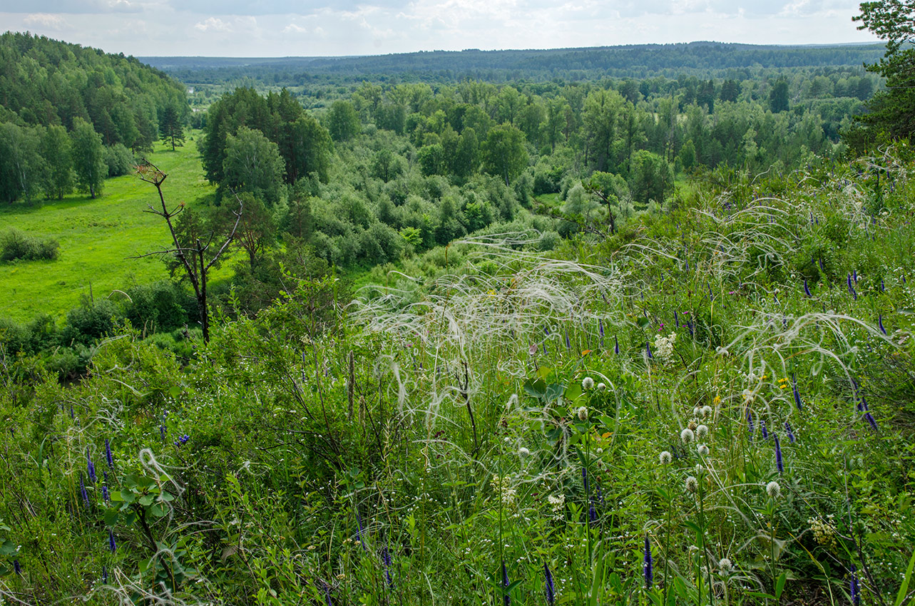 Перевоз, image of landscape/habitat.