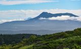 Image of landscape
