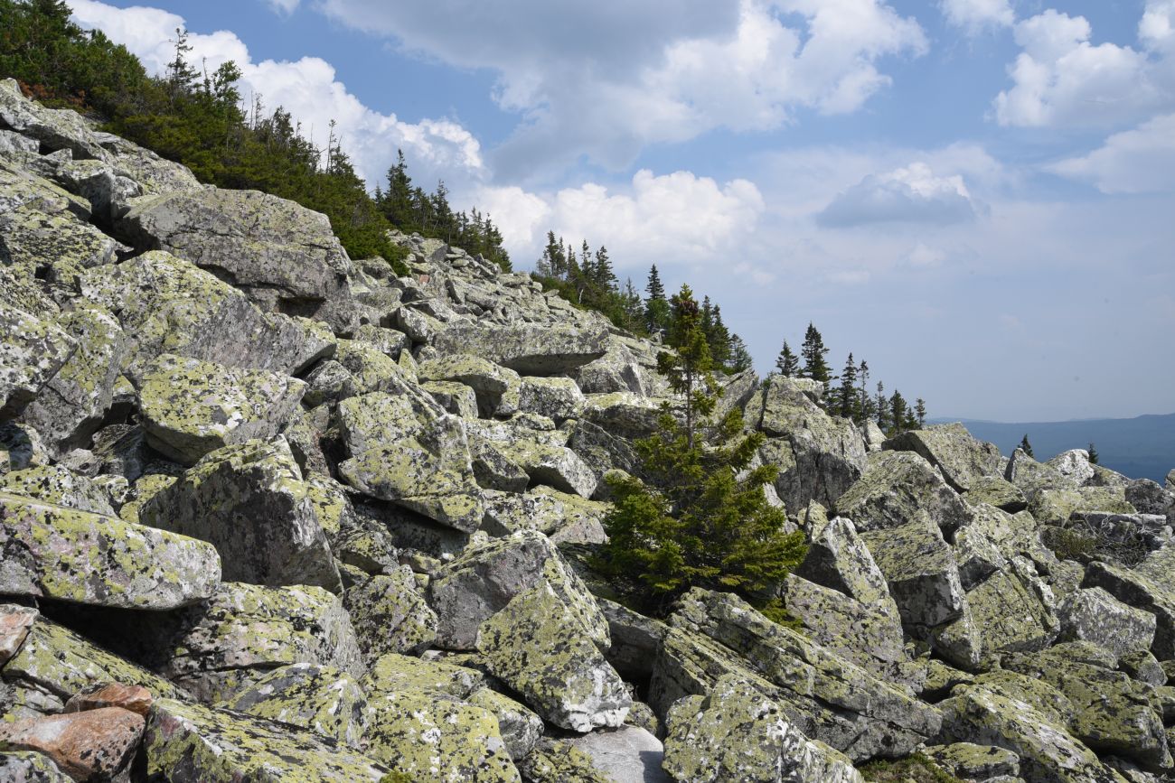 Круглица, image of landscape/habitat.