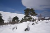 Image of landscape