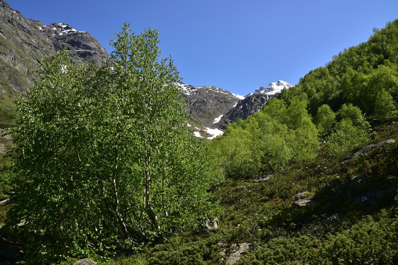 Река Когутайка, image of landscape/habitat.