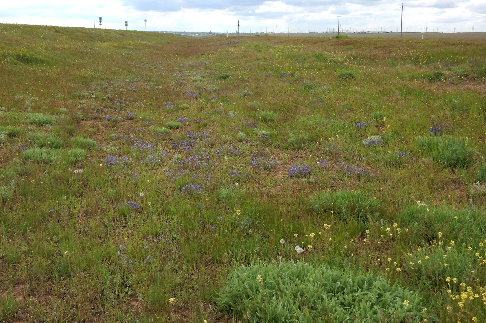 Окрестности посёлка Кетченеры, image of landscape/habitat.