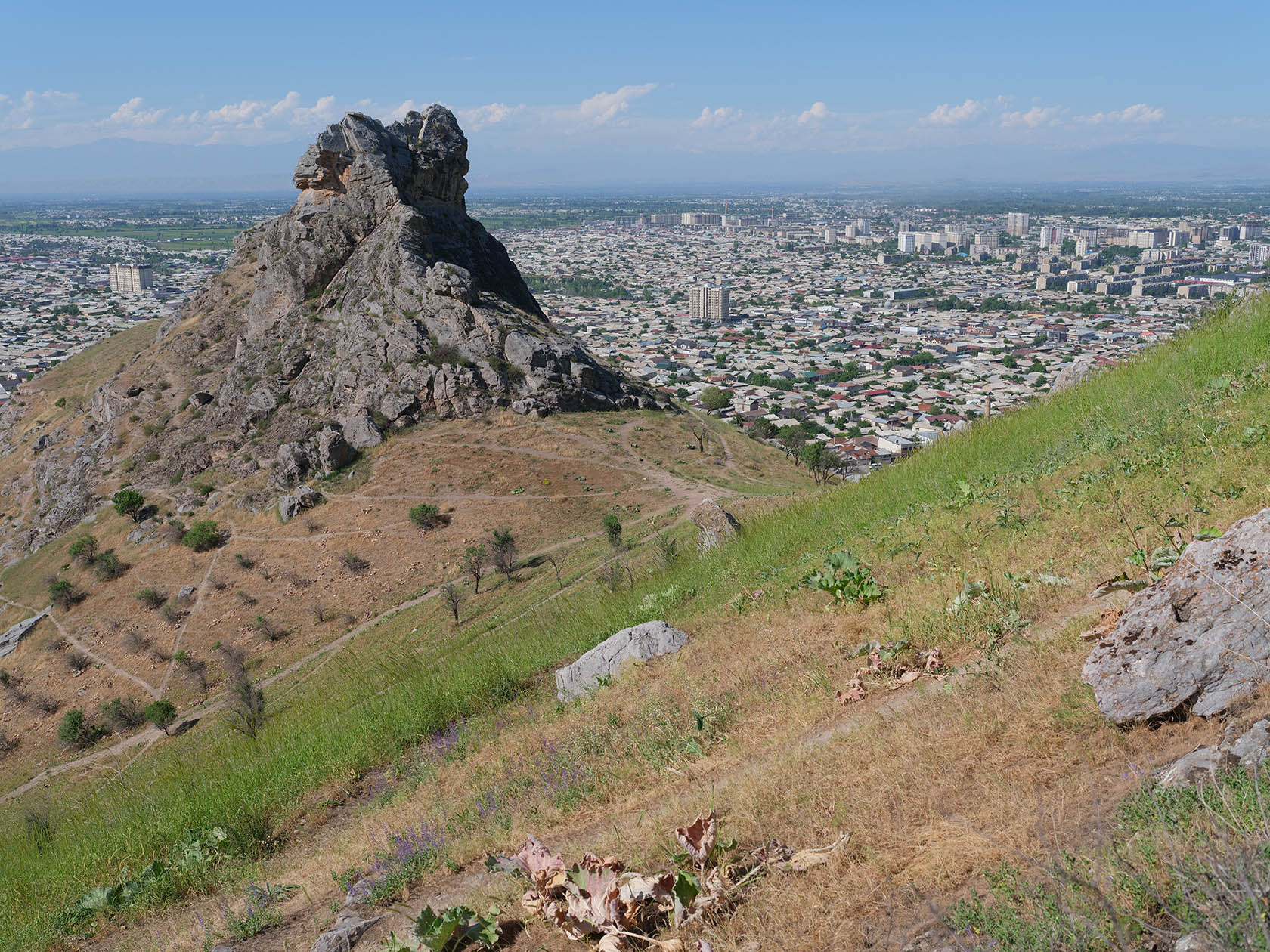 Сулейман-Тоо, image of landscape/habitat.
