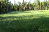 Image of landscape