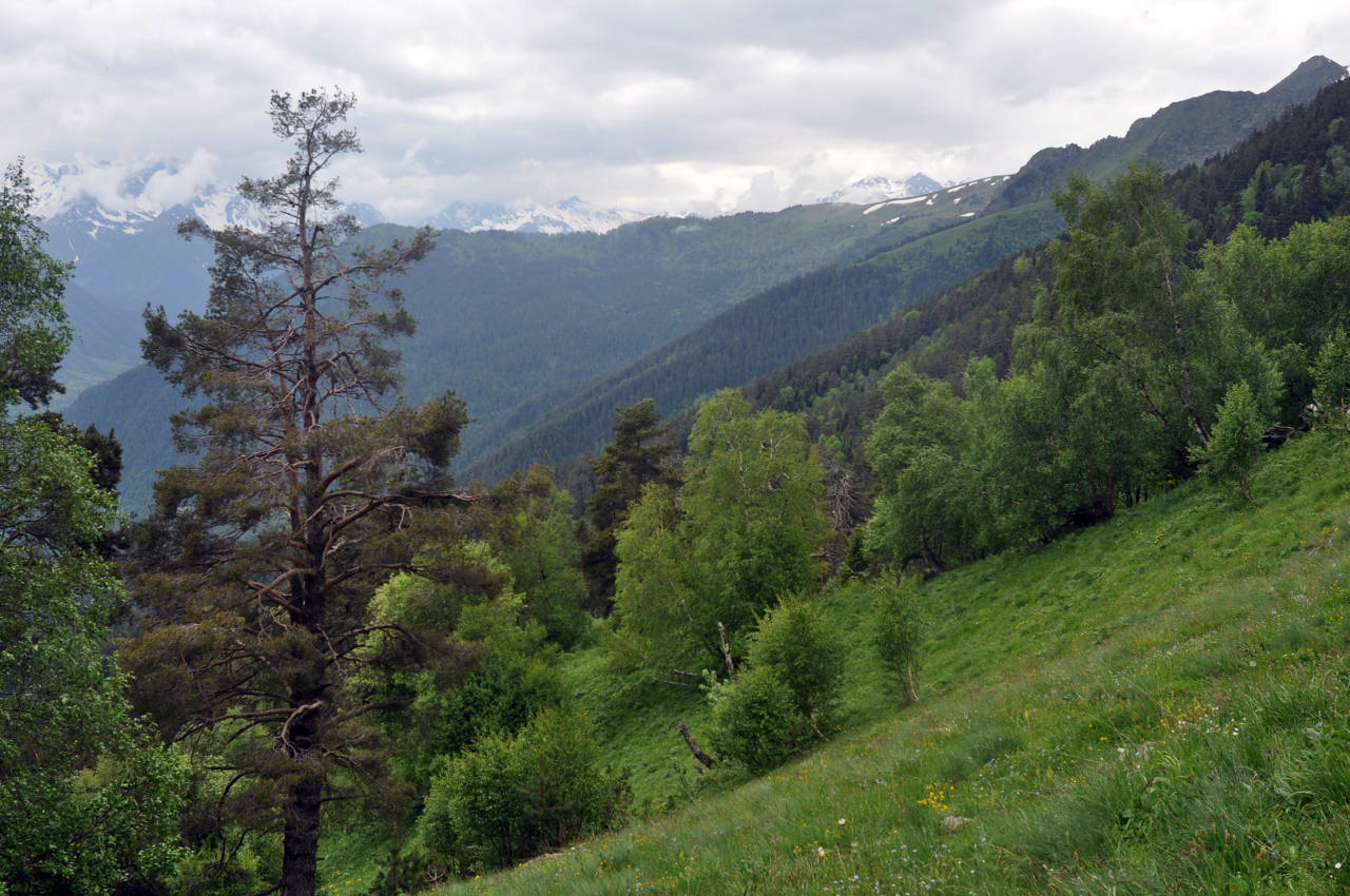 Хребет Абишира-Ахуба, image of landscape/habitat.