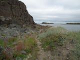Дальние Зеленцы, image of landscape/habitat.