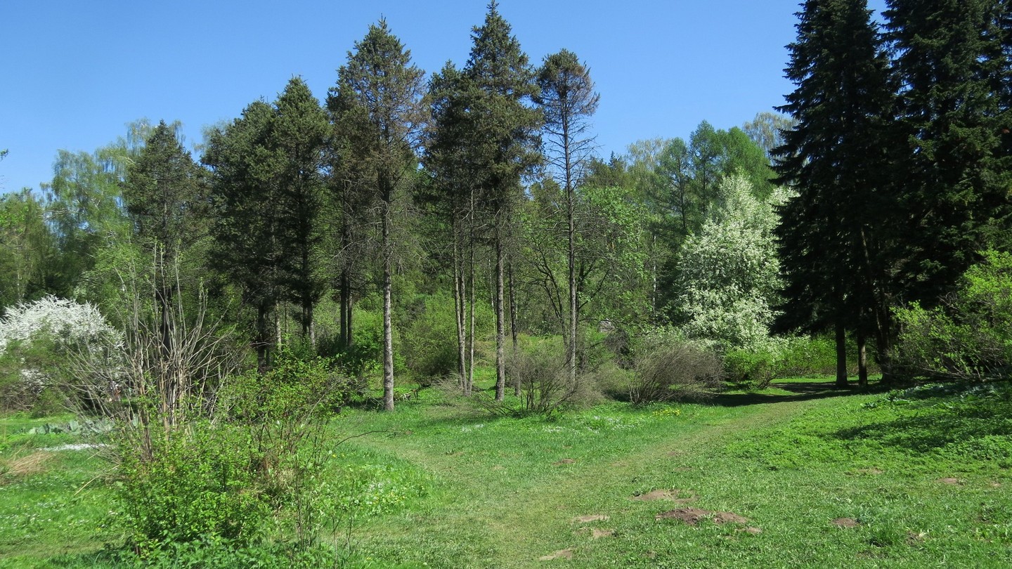ГБС РАН, image of landscape/habitat.