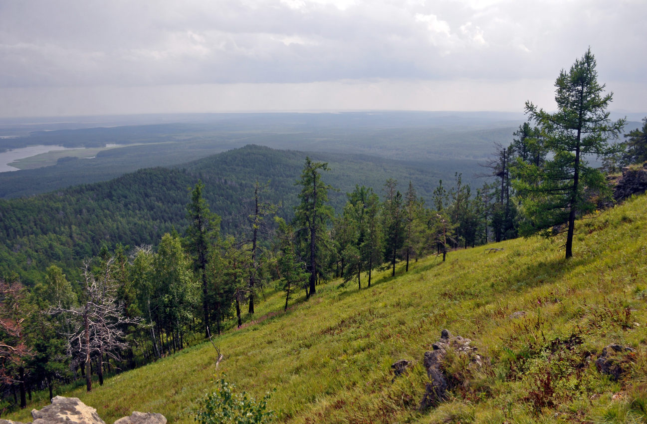 Гора Сугомак, image of landscape/habitat.